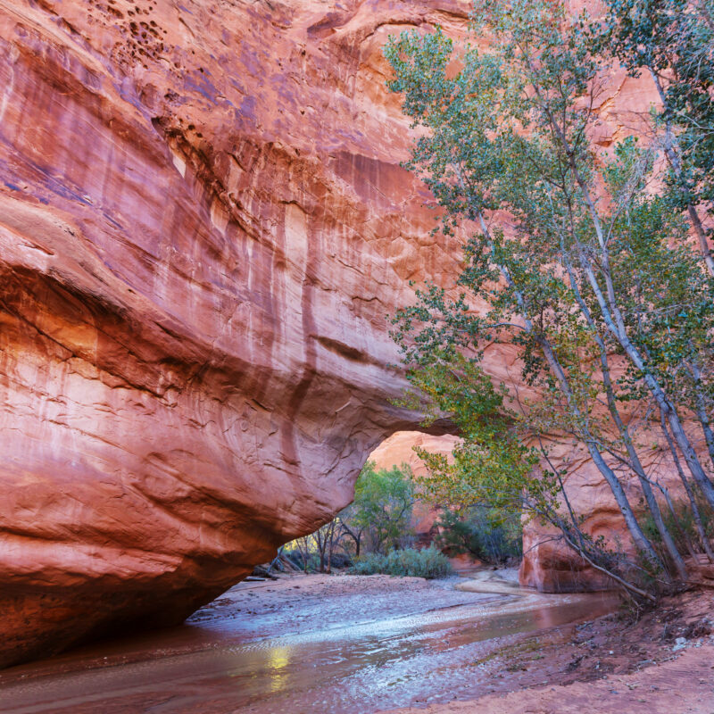 Southern Utah- Wilding Hotels